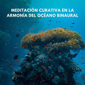 Sesión De Serenidad Costera