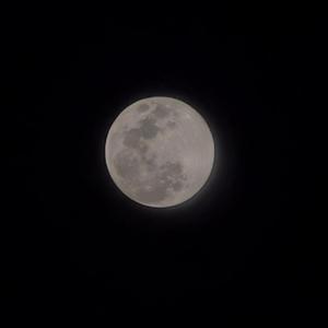 灵魂活着，身体朝向大海（demo）