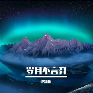 岁月不言弃