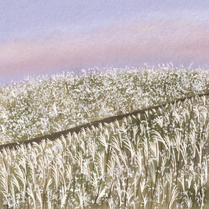 내겐 너무 어려운