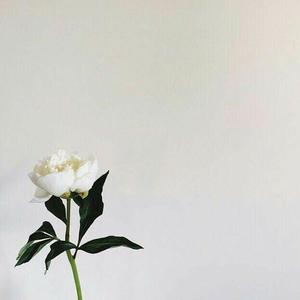 只爱西经-k九（翻自 洪楗华）