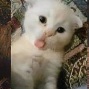 Start Again (Nightcore)