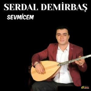 SEVMİCEM