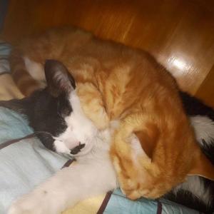 好了伤疤忘了痛