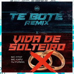 Te Boté Remix X Vida de Solteiro