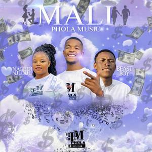 Mali (feat. Beast Boy & Naledi Njunju)