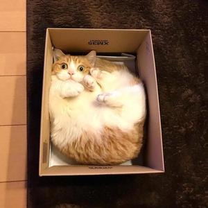 我只为你