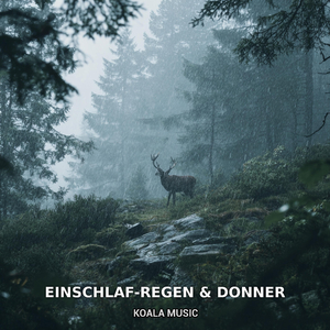 Einschlafhilfe mit Regen und beruhigendem Donner, Pt.7