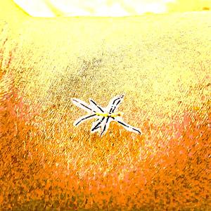 Toda Coisa (Mesma Vez)