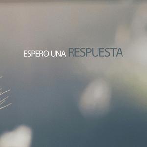 espero una respuesta