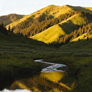 白骨经 (Cover 言真卿)