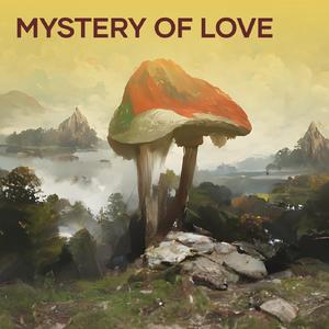 Mystery of Love