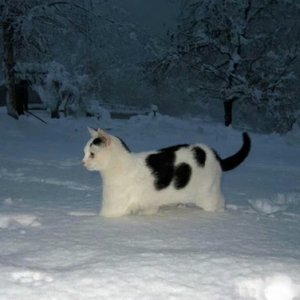 零距离的思念1.0翻唱