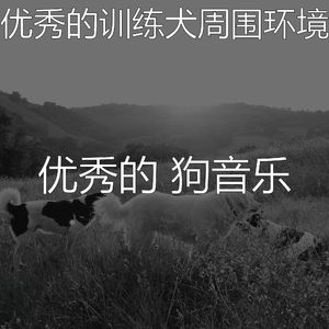 诗意的训练犬节奏