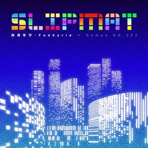 Slipmat（肉滑年华）