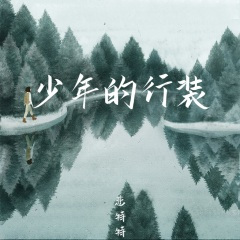少年的行装