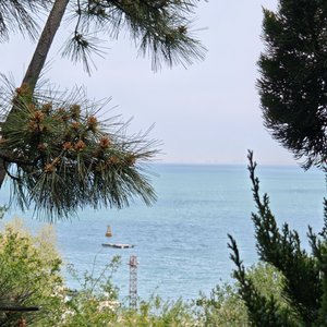 你说夏天短得像句告别