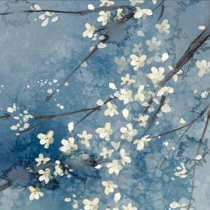 花雨间·良辰夜未眠