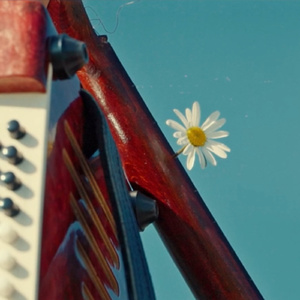 вишневый сад