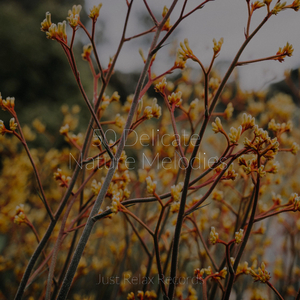 Dance of Radiant Inspiration