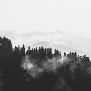 Humoreske Op.20: V. Sehr lebhaft