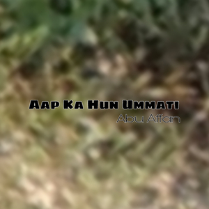 Hazir Hain