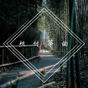 月光下的凤尾竹合奏
