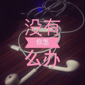 没有你怎么办