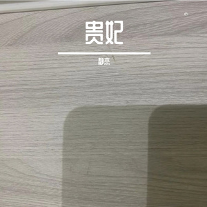 高峰会菲亚特夫人-整曲