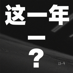 这一年