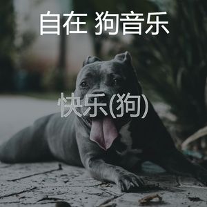 友好-狗午睡