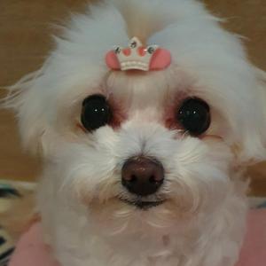 꿀 처럼 너의모습