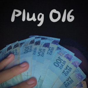Plug 016