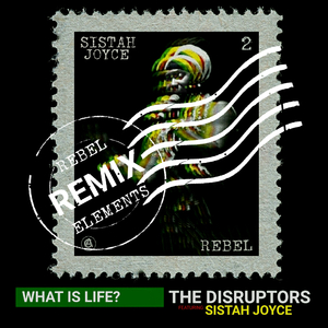 What Is Life? (Rebel Elements Remix)