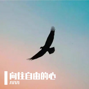 《向往自由的心》