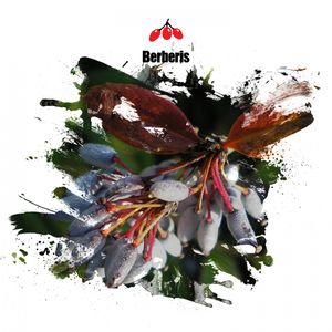 Boots & Pants (Original Mix)