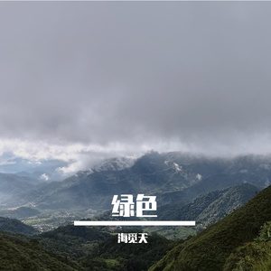 陈雪凝- 绿色（海觅天 remix）
