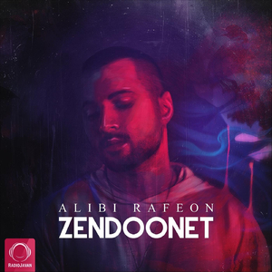 Zendoonet