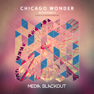 Chicago Wonder (Flexical Remix)