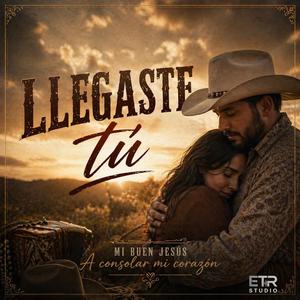 Llegaste Tú