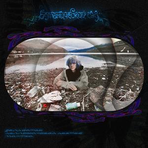 целлофановый цветок