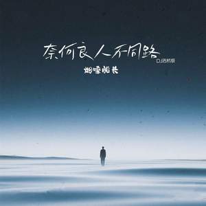 奈何良人不同路 (DJ浩然版)