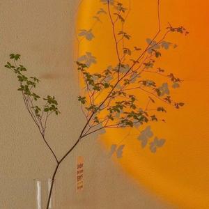 SVID_20220425_112751_1_20220425_112945