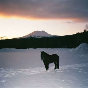 只道当时是寻常