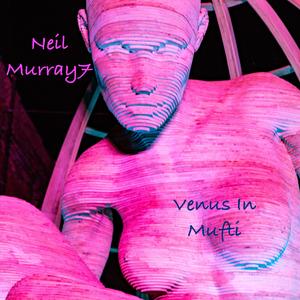 Venus in Mufti
