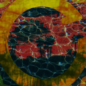 Oasis