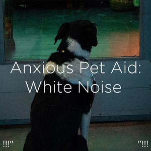 ホワイトノイズスリープ