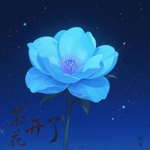 茶花开了