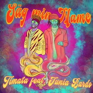 Säg min Name (feat. Junia Bardo)