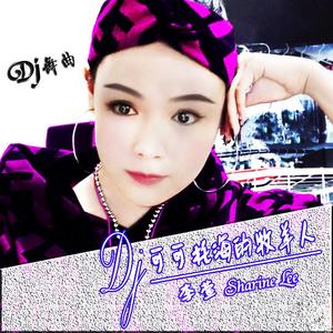 王琪-可可托海的牧羊人（Dj舞曲）（李萱 remix）